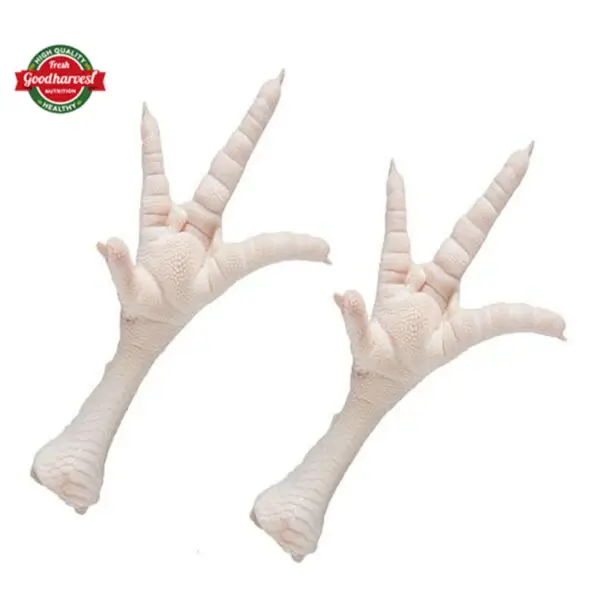 Hicken Feet&Paws - Image 3